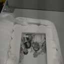 Mud Pie Scalloped Marble Frame, Large, 5x7