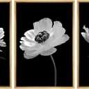 SIGNWIN Framed Wall Art Print Set Black and White Poppy and Carnation Still Life Shapes Patterns Illustrations Modern Bohemian Multicolor Cool for Living Room, Bedroom, Office - 16"x24"x3 Natural (Shape-2011-m04)