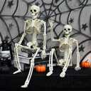 NEROSUN Halloween Skeleton Decorations, 2 Pack 26 Inch Full Body Skeleton with Movable Posable Joints, Human Bones Decorations for Graveyard Indoor Outdoor Decor