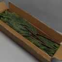 16 Pcs Realistic Norfolk Pine Stems, 18" Artificial Norfolk Pine Branches, Faux Christmas Greenery Evergreen Stems Picks for Vase DIY Crafts Christmas Green Decorations Indoor Home Dcor