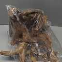 Majoywoo Natural Large Coral Driftwood for Aquarium Decor Reptile Decor, Assorted Driftwood Branch 9-14" 2 Pcs, Fish Tank Decoration