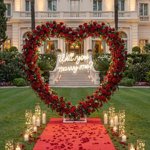 Breling 7.87ft Large Metal Heart Arch Stand and Will You Marry Me LED Neon Light Sign Backdrop for Outdoor Proposal Wedding Engagement Bridal Valentine and Birthday Party Decor (Red)