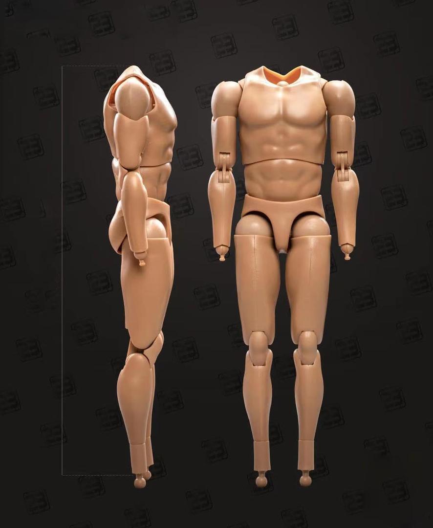 1/6 Scale Action Figures for Custom Muscular Male Figure Body (BD001)
