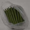 Deegtran Pens Bulk, 50 Pack No Bleed Sage Green Click Pen, Wholesale Retractable Ballpoint Pens, Pens Medium Point, Smooth Ink Pen, 1.0MM Sage Green