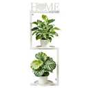 TIUTCOX Wall Plant Holder Metal, Plant Frames Wall Decor, Wall Plant Stands for Indoor&Outdoor with Letters HOME Decor, 2 Round Flower Pot Trays, 12*7.87*34.33 Inch, Black