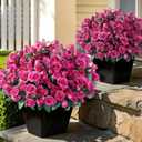 8 Bundles Artificial Rose for Front Door Outdoor Decor, Realistic Fake Silk Bouquets Flowers Faux UV Resistant Real Looking Rose Plants for Garden Balcony Farmhouse Home Spring Summer Decor (Rose Red)