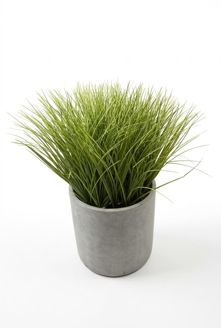 Summer Lifestyle Greenery Decorative Plant, 8"