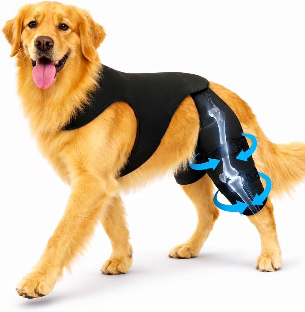 Dog Knee Brace for Rear/Hind Legs (ACL/CCL)  Dual-Leg Support with 4 Metal Stabilizers & Non-Slip Harness | Stability, Mobility & Pain Relief for Arthritis, Hip Dysplasia & Luxating Patella | SXL