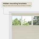 Cordless Cellular Pleated Window Shades - 33 Inch Width, 64 Inch Length - Alabaster - Light Filtering Top-Down Honeycomb Pull Down Blinds for Windows and Skylights by Achim Home Decor