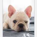 RUN HELIX A5 Picture Frame, Wall Gallery Photo Frames,Stable and Sturdy White Frame with High Definition Plexiglass,A5 Poster Photo Frame,Horizontal and Vertical Formats for Wall Hanging, White