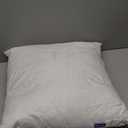 MIULEE Feather Pillow Insert 22x22, Decorative Down Throw Pillow Insert Fluffy Throw Pillow Cotton Fabric for Sofa Bed Couch