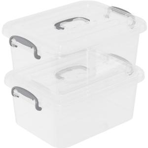 Clear Plastic Storage Boxes with Lid, 2-Pack Storage Latch Bins, 8 L, F