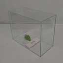 3 Gallon Glass Fish Tank, Easy to Maintain Small Aquarium for Betta/Goldfish/Snails/Shrimp and Aquatic Planting