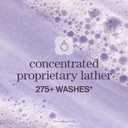 Pureology Hydrate Shampoo - For Dry or Color Treated Hair, Moisturizing Shampoo For Hydration & Softness, With Rose Extract & Green Tea, Vegan & Sulfate-Free (33.8 Fl Oz (Pack of 1))