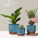 LE TAUCI Ceramic Plant Pots with Drainage Holes, Set of 3, 8+6.7+5.5 Inch Stripe Garden Planter Pots for Outdoor Indoor Plants Flower, Round Succulent Orchid Flower Pot, Reactive Glaze Green
