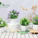Der Rose 4 Pack Small Fake Plants Mini Artificial Faux Plants Indoor with Flowers Spring Decorations for Home Room Farmhouse Desk House Bathroom Decor