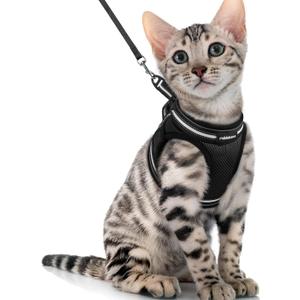 rabbitgoo Cat Harness and Leash Set for Walking Escape Proof, Adjustable Soft Kittens Vest with Reflective Strip for Cats, Comfortable Outdoor Vest, Black, XL