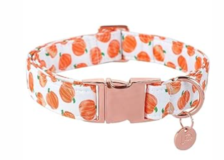 UP URARA PUP Halloween Dog Collar with Metal Buckle Gift Fall Dog Collar for Small Medium Large Girls or Boys Dogs Cute Pumpkin Cotton Pet Collars
