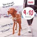 Halti No Pull Harness - Stop Your Dog Pulling on The Leash. Adjustable, Lightweight and Easy to Use. Reflective Dog Training Harness for Medium Dogs (Size M, Cobalt Blue)