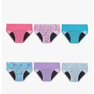 Hanes Girls' Hanes Toddler Girls' Potty Trainer Briefs, 6-Pack, 2-3T