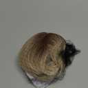 HAIRCUBE Bangs Hair Clip in Bangs 100% Real Human Hair Bangs Clip in Hair Extensions Fake Bangs Air Bangs Hairpieces for woman with Temples 3 Secure Clips in Full Fringe (T4/4/613#)