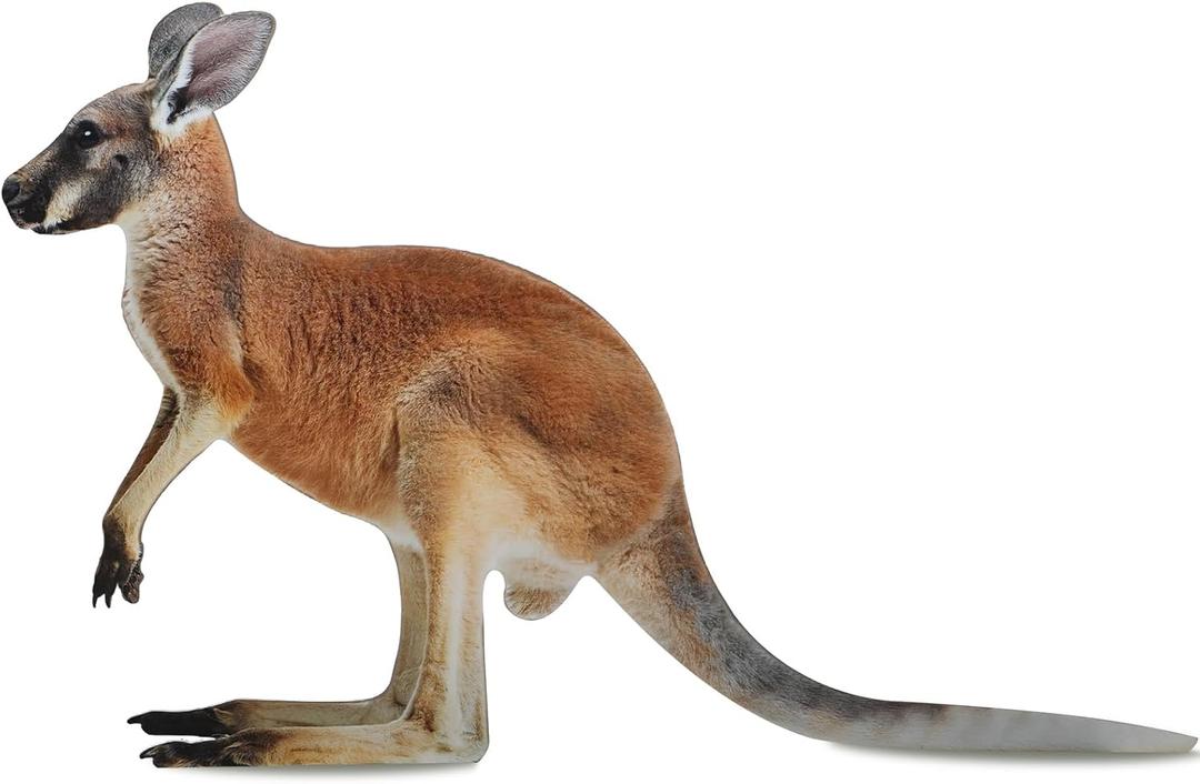 Amyhill 5.2 ft Kangaroo Cardboard Cutout Australian Themed Party Decoration Kangaroo Life-size Stand-up Australia Animal Standee Decoration Backdrop Photo Prop for Wild Animal Birthday Vbs Party Decor