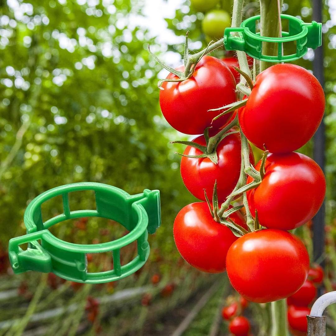 Dalzom 300Pcs Tomato Clips, Plastic Trellis Clips Plant Support Clips, Plant Clips for Support, Grape Vine, Tomato Vine, Vegetables Plants, Garden Clips to Grow Upright Makes Plants Healthier (Green)