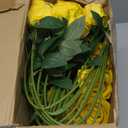 Jexine 50 Pcs Artificial Rose Flower Bulk Realistic Silk Fake Roses with Long Stem Plastic Artificial Flower Bouquet Real Looking for Home Wedding Centerpieces Party Decoration(Yellow)