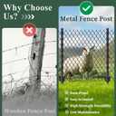 Metal Fence Posts 4 FT Black (Pack of 20) Heavy Duty U Post & T Post for Wire Fencing, Rustproof Powder-Coated Steel Fence Stakes, No-Dig Fence Posts for Farm, Orchard, Yard & Temporary Fencing