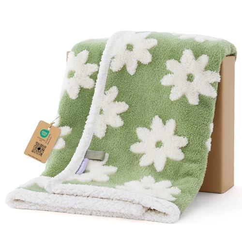 LE SURE Waterproof Puppy Blanket for Small Dogs - Washable Double Sided Dog Blankets with Warm Jacquard Shag and Soft Sherpa Fleece, Pet Cat Blanket for Couch Protection, 3D Textured Cloud, Green, 28,5"x"20