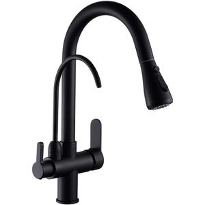 WANFAN Kitchen Sink Faucet with Pull Down Sprayer 2 Handle 3 in 1 Water Filter Purifier Faucets Black 0195R