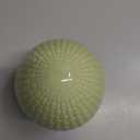 Green Egg Decoration 