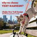 rabbitgoo Cat Harness and Leash for Walking, Escape Proof Soft Adjustable Vest Harnesses for Cats, Easy Control Breathable Reflective Strips Jacket, Red, XXS