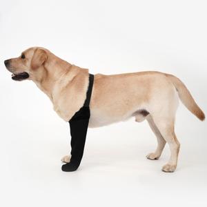 Dog Recovery Socks - Waterproof Paw Protectors with Non-Slip Sole | Post-Surgery Boots for Wound Protection | Anti-Licking Sleeves for Dogs (Black, Large, Left)