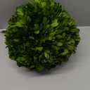 Preserved Boxwood Ball 8 inch