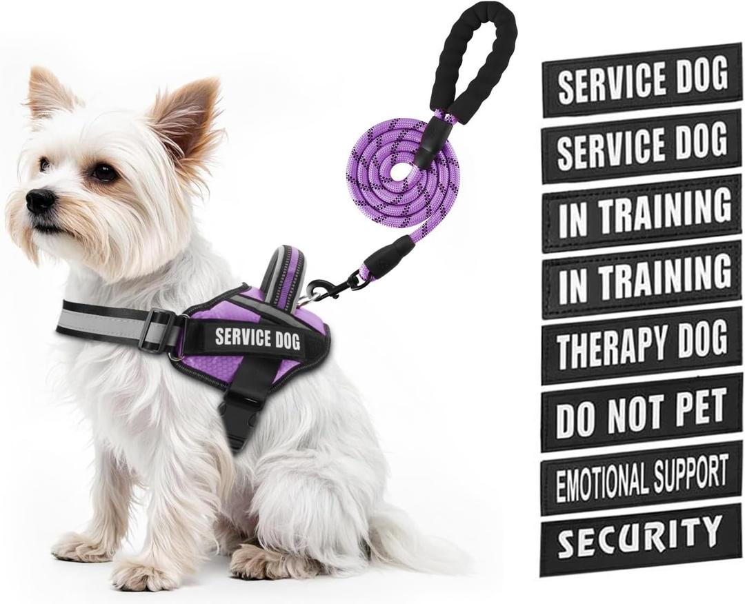 Service Dog Vest Harness and Leash Set, Animire in Training Dog Harness with 10 Dog Patches, Reflective Dog Leash with Soft Padded Handle for Small, Medium, Large, and Extra-Large Dogs (XXS, Purple)