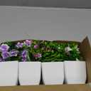 Der Rose 4 Pack Small Fake Plants Mini Artificial Faux Plants Indoor with Flowers Spring Decorations for Home Room Farmhouse Desk House Bathroom Decor