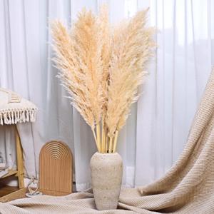 40-Inch Cream Pampas Grass Decor Tall 10-Pcs XXL Size Natural Boho Plants Decor Wedding Flowers