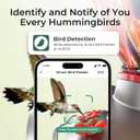 Smart Glass Hummingbird Feeder with Camera Solar Powered 2K- AI Identify & Water Detection, Instant Notification, Leakproof & Ant Moat TT Nature