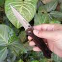 ALBATROSS Premium Damascus Folding Pocket Knife - EDC Knife with 71-Layer Damascus Steel Blade and Ebony Wood Handle - Gift for Men - HGDK005