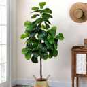 Artificial Fiddle Leaf Fig Tree 6FT
