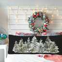 SNNDER Throw Pillow Covers, Pillow Covers for Room Decor, 20x54inch, 494 (Winter - 1)