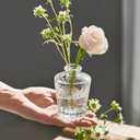 32 Pack Glass Bud Vase Set, Small Flower Vase Set Bud Vases for Wedding Centerpiece Table Decor, Vintage Small Vases for Room Home Dining Party Table Center Decor (Clear Set, 32 Pack)