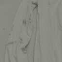 HERLOLLYCHIPS Womens Long Sleeve Short Sleeve Collared Polo Tops V Neck Button Down Fitted Shirts (Medium)