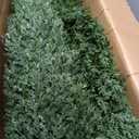 8 Feet Pre-Potted Evergreen Outdoor Artificial Cedar Tree for Front Porch Decor, Outdoor Entryway Decor Fake Tree, Tall Faux Tree with UV Resistant Coating (1 Pack)