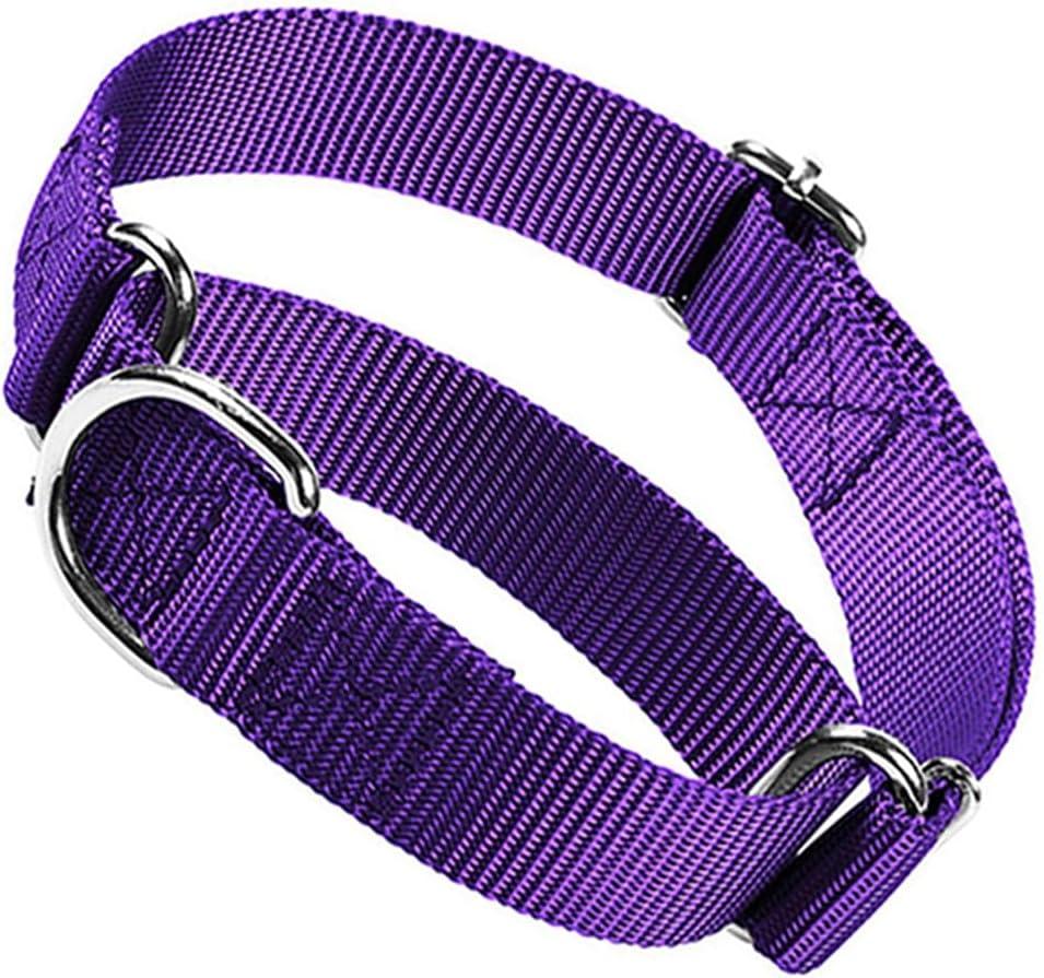 Martingale Collar for Dogs,Soft Nylon Choker Collar for Dogs,Training Escape Proof Heavy Duty Dog No Pull Dog Collar Adjustable for Small Medium Large Pet Boy Dogs, Purple S