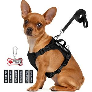 Service Dog Vest for Small Breed Dogs with ID Tag  Lightweight Puppy Harness and Leash Set with 6 PCS Patches, Ideal Service Animal Vest for Training, Complete Service Dog Gear, Black, L