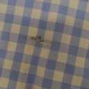 The Children's Place Baby Boys' and Toddler Poplin Short Sleeve Button Down Shirt (5T, Breeze Plaid)