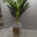 Artificial Palm Tree 5FT - Fake Tree with Black Tall Planter - Faux Tropical Areca Floor Plant in Pot - Artificial Silk Plant for Home Office Living Room Decor Indoor