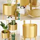 SSS Furniture Corner Plant Stand Indoor Metal, 6 Tier 6 Potted Outdoor Flower Pot Stands Holder Shelves for Living Room, Potted Storage Shelf Rack, Decorative Holder Rack for Multiple Plants (Golden)
